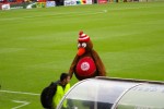 IMGP0250.JPG