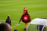 IMGP0251.JPG
