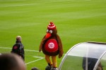IMGP0252.JPG
