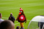 IMGP0253.JPG